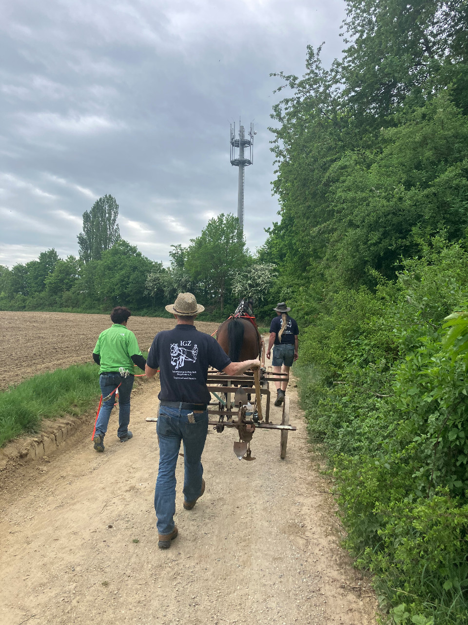 Fuhrmannstreffen in Odwimm